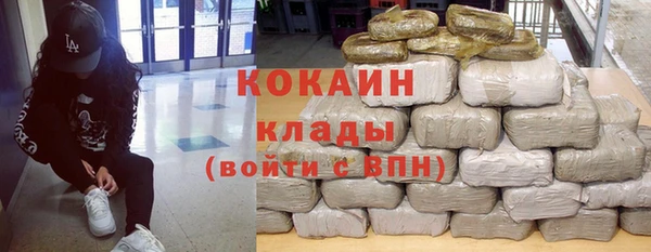 индика Магас