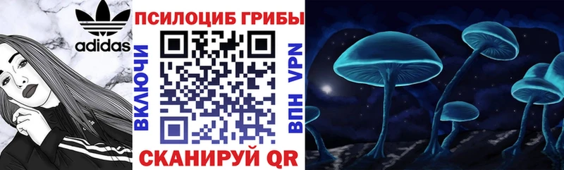 Галлюциногенные грибы ЛСД  Цимлянск 